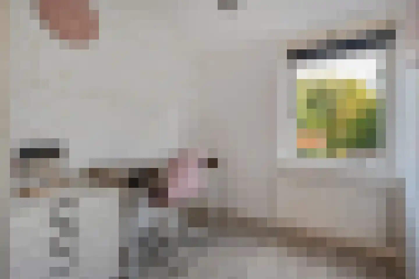 Boslaan 1 Balkbrug thumbnail 27