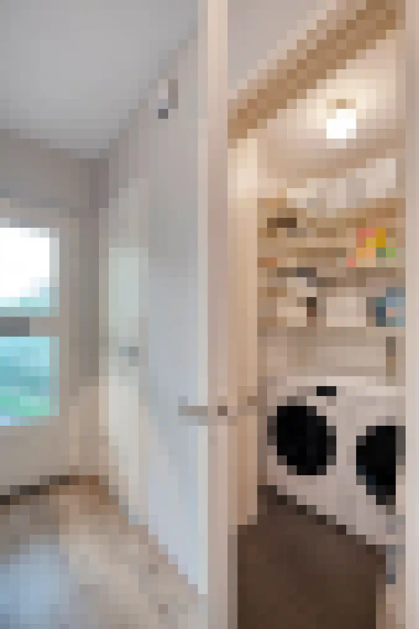 Boslaan 1 Balkbrug thumbnail 32
