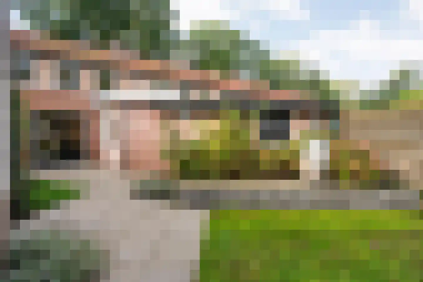 Boslaan 1 Balkbrug thumbnail 35