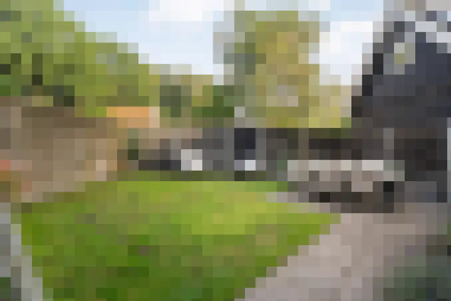Boslaan 1 Balkbrug thumbnail 38