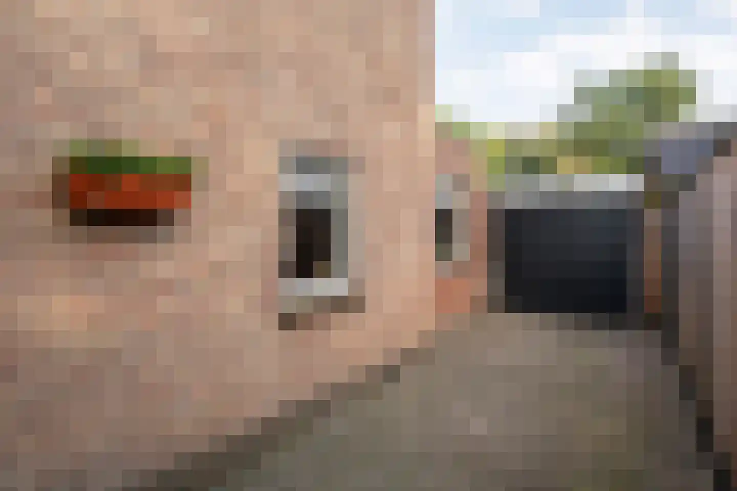 Boslaan 1 Balkbrug thumbnail 43