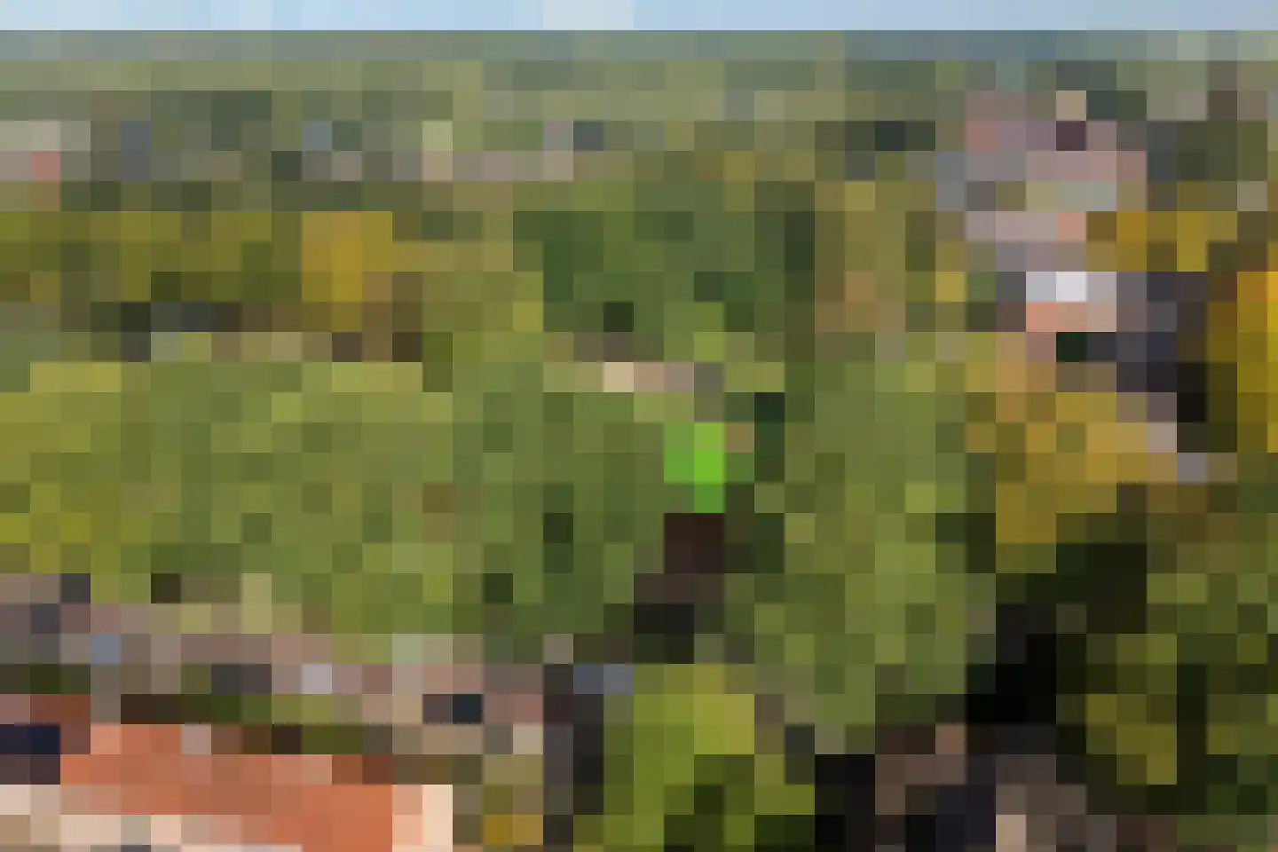 Boslaan 1 Balkbrug thumbnail 45