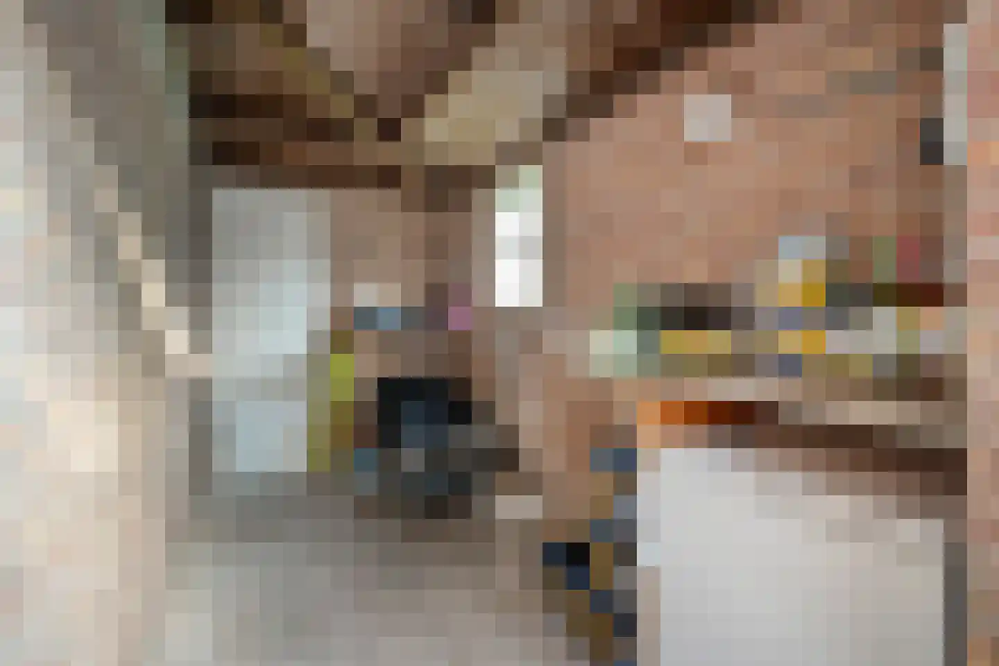 Boslaan 1 Balkbrug thumbnail 47