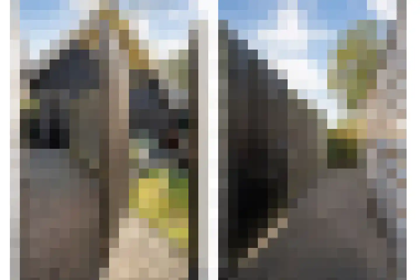 Boslaan 1 Balkbrug thumbnail 50