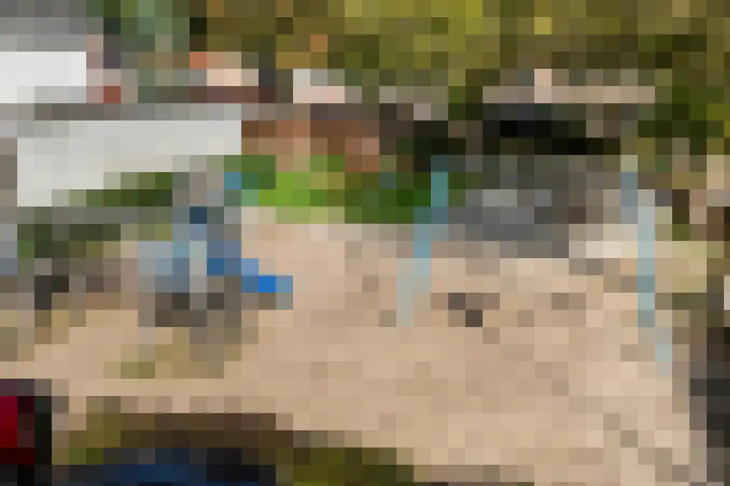 Boslaan 1 Balkbrug thumbnail 51
