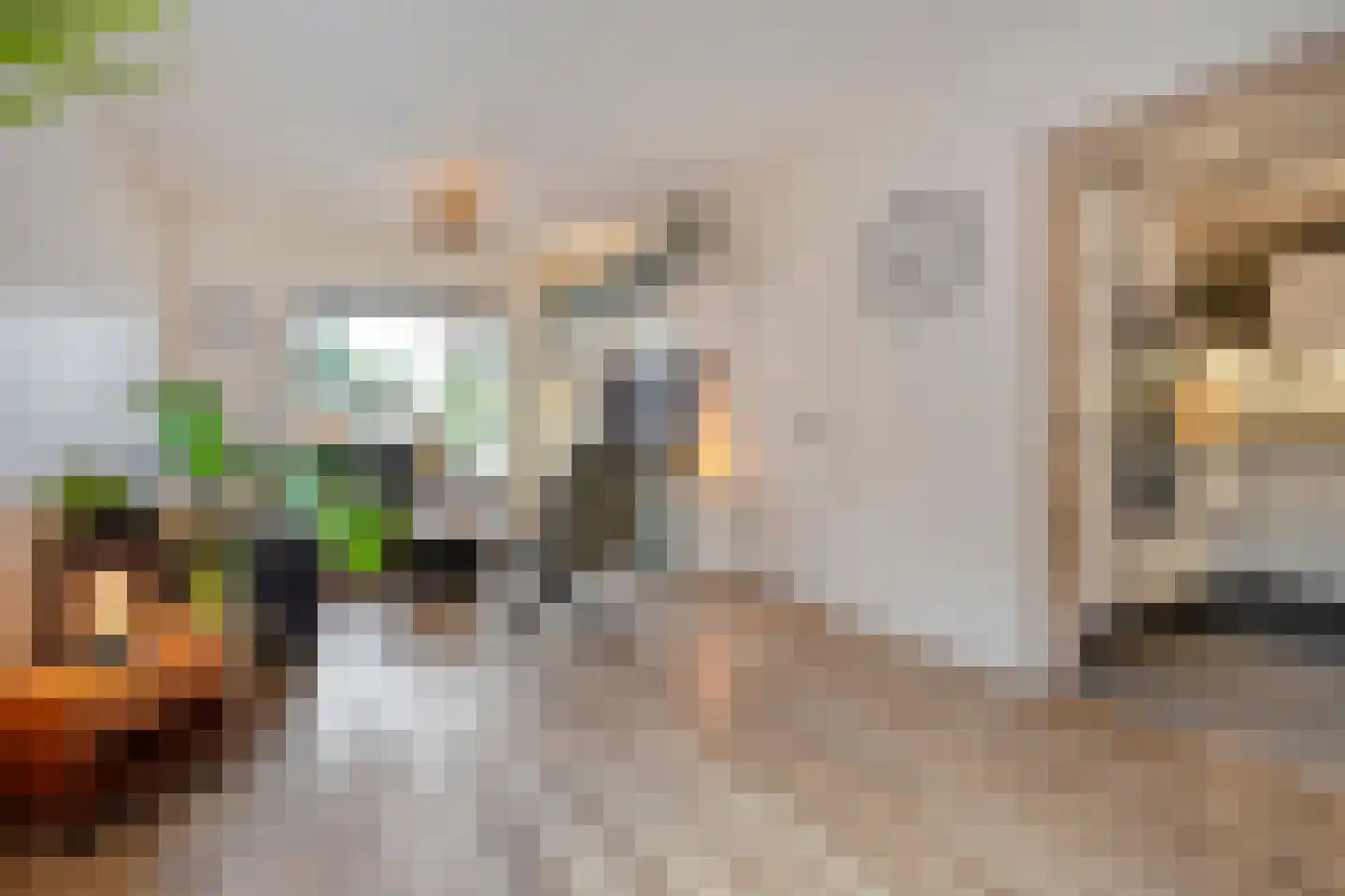 Boslaan 1 Balkbrug thumbnail 9