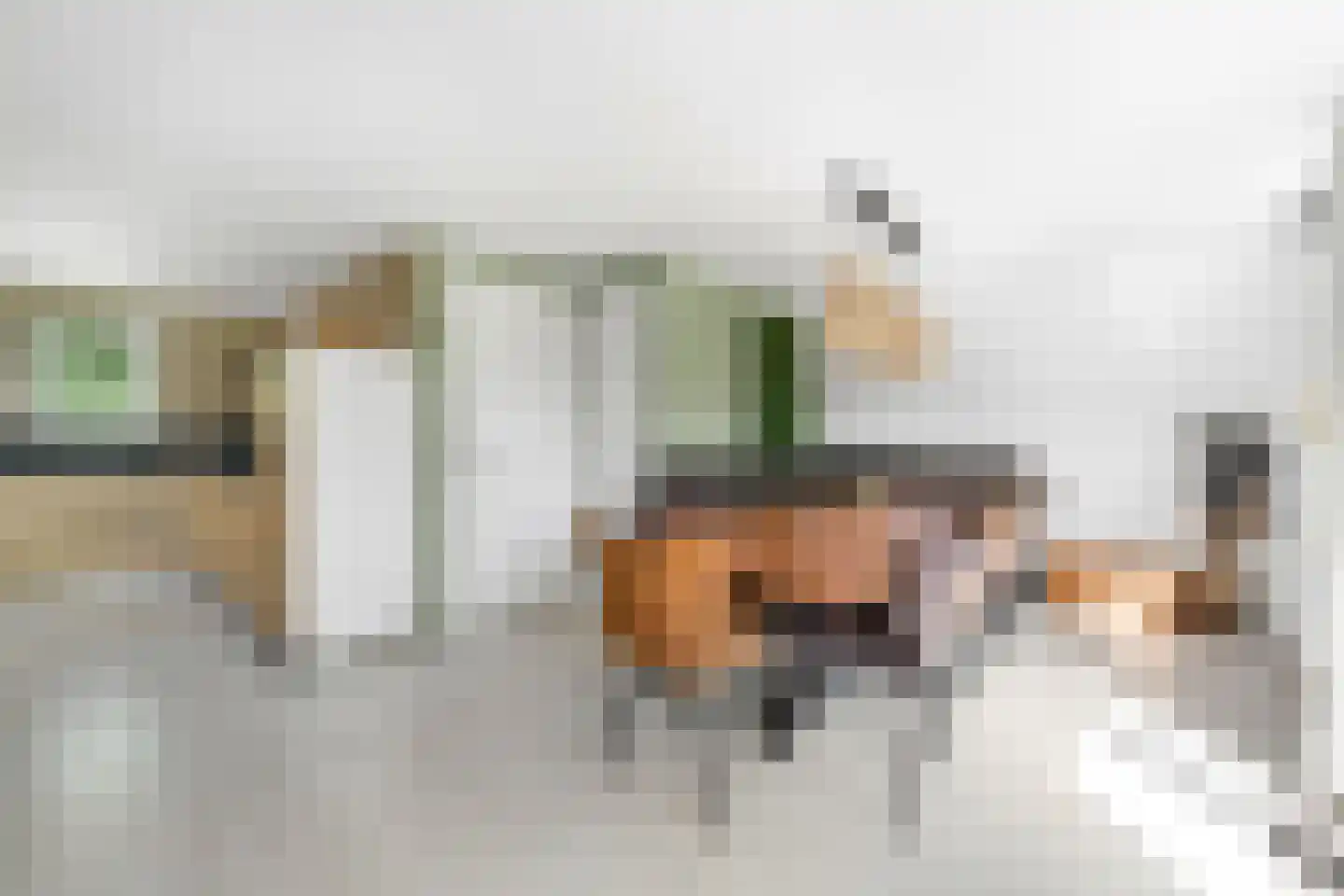 Boslaan 1 R104 Gramsbergen thumbnail 12