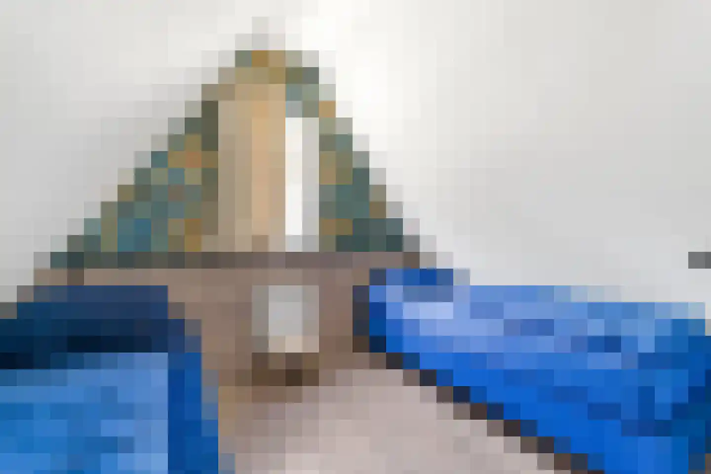 Boslaan 1 R104 Gramsbergen thumbnail 30