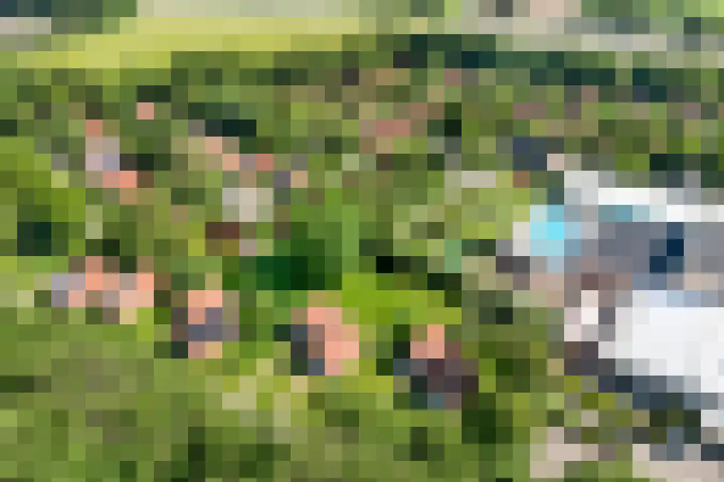 Boslaan 1 R104 Gramsbergen thumbnail 33