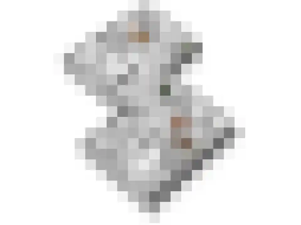 Boslaan 1 R104 Gramsbergen thumbnail 35