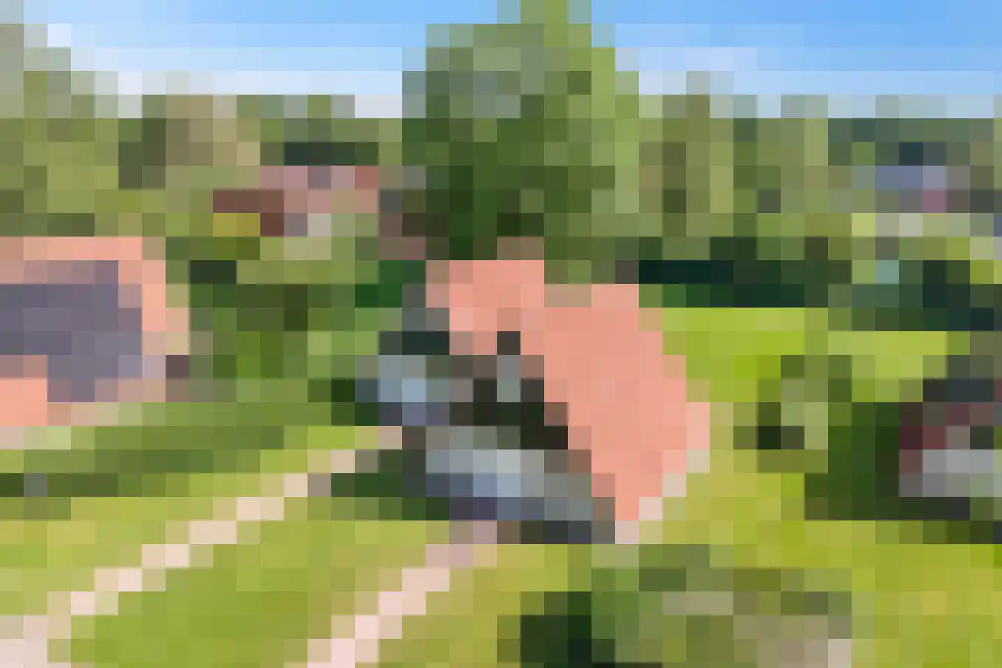 Boslaan 1 R104 Gramsbergen thumbnail 4
