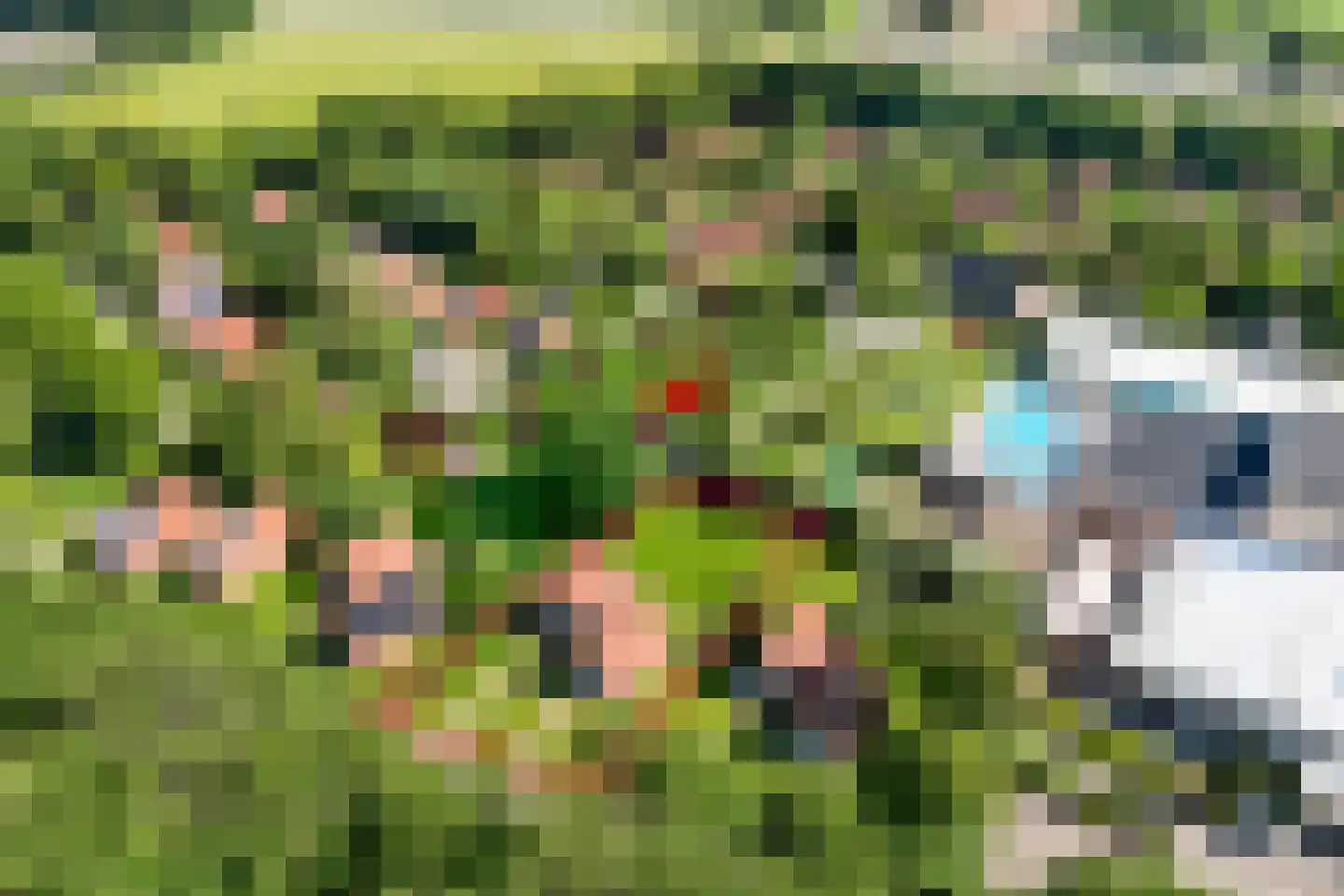 Boslaan 1 R104 Gramsbergen thumbnail 5