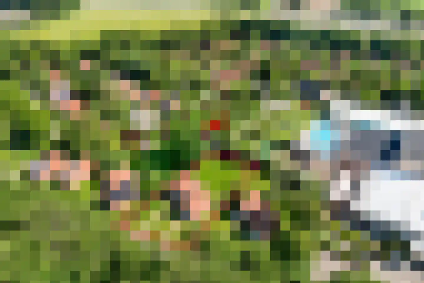 Boslaan 1 R104 Gramsbergen thumbnail 6