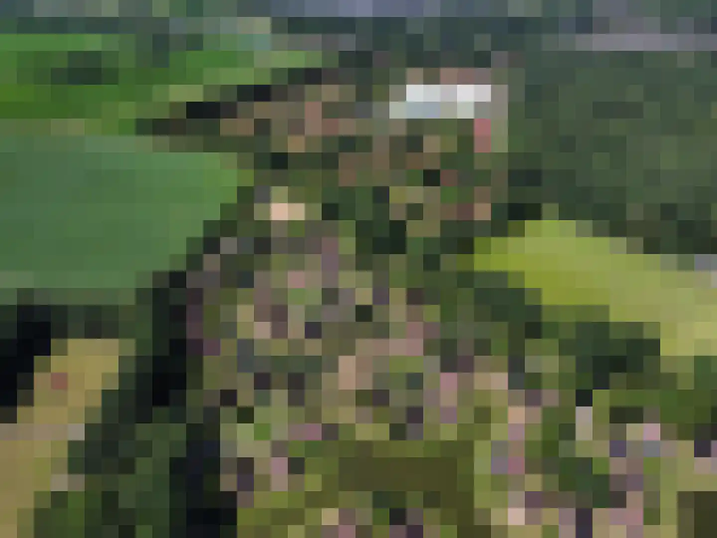 Boslaan 1 R117 Gramsbergen thumbnail 17
