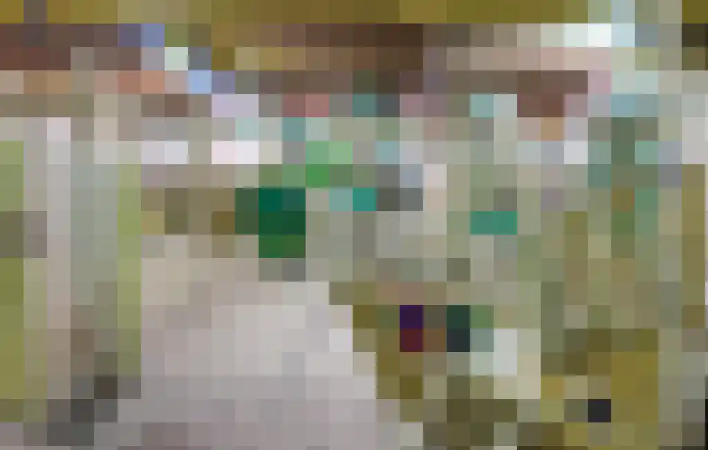 Boslaan 1 R117 Gramsbergen thumbnail 26