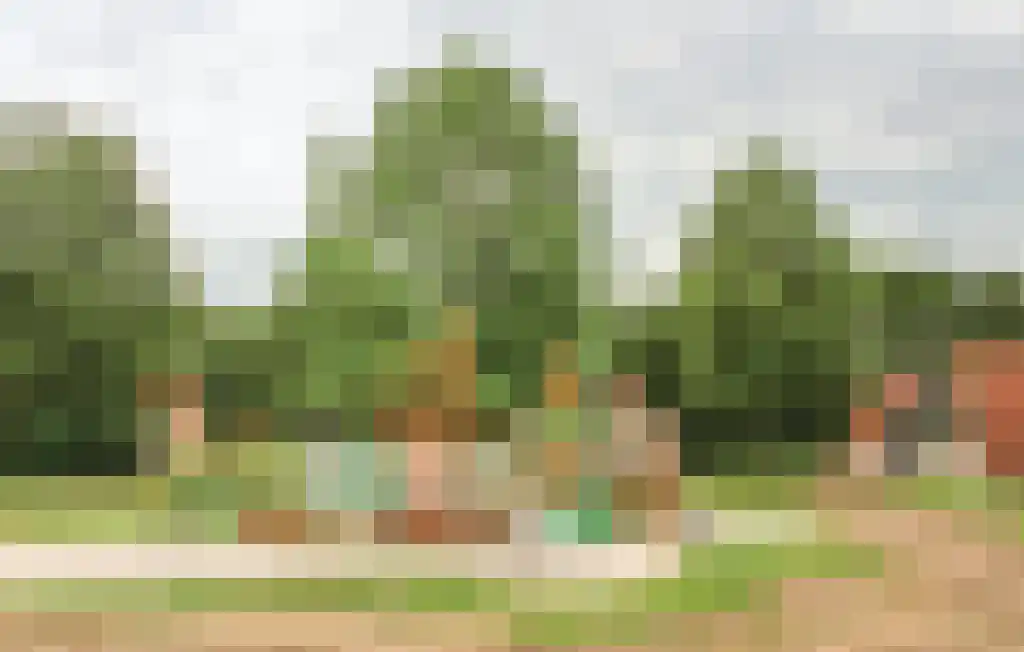 Boslaan 1 R117 Gramsbergen thumbnail 28