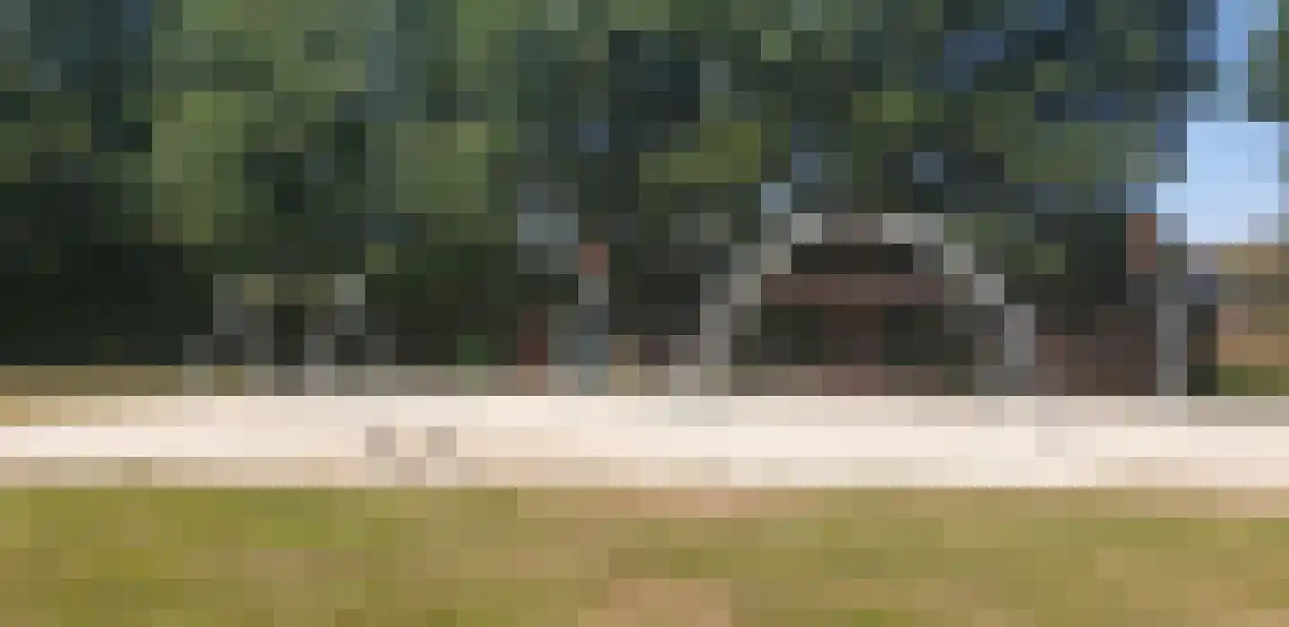 Boslaan 1 R117 Gramsbergen thumbnail 29