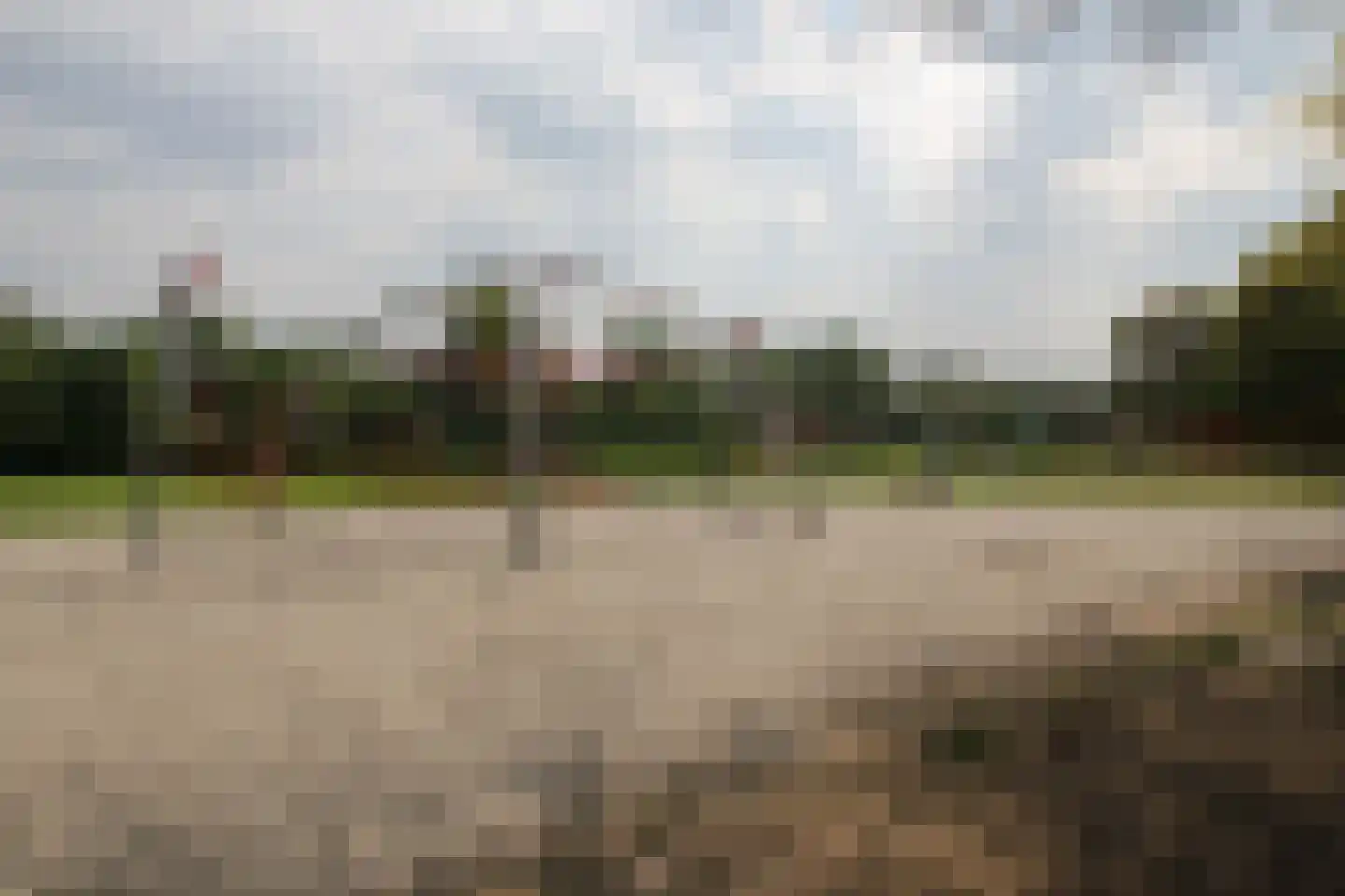Boslaan 1 R117 Gramsbergen thumbnail 30