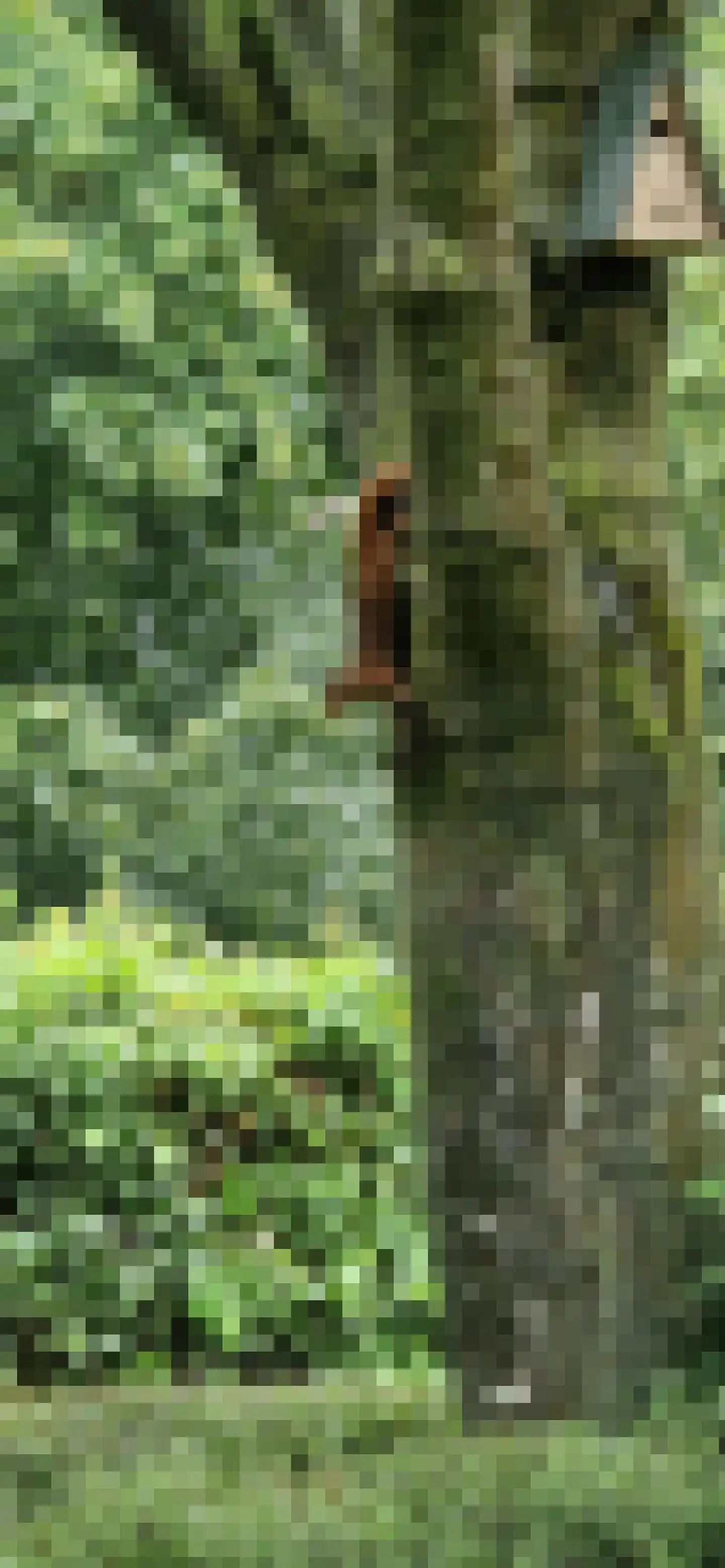 Boslaan 1 R117 Gramsbergen thumbnail 45