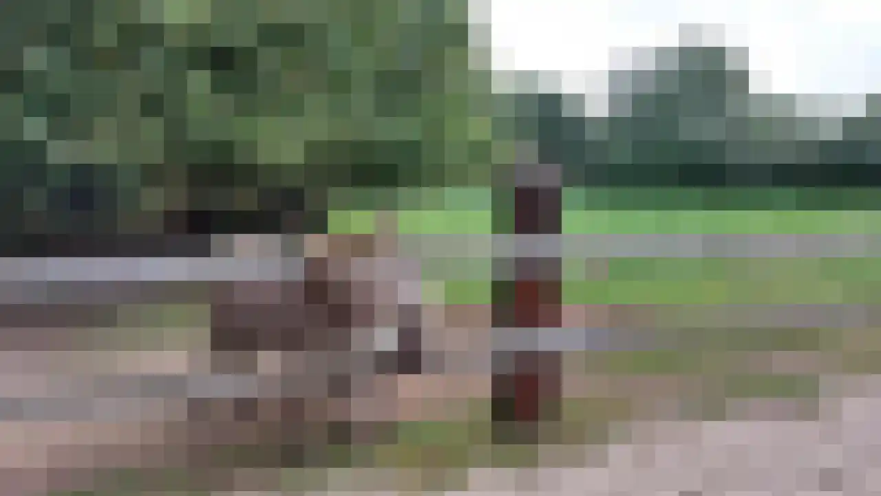 Boslaan 1 R117 Gramsbergen thumbnail 46