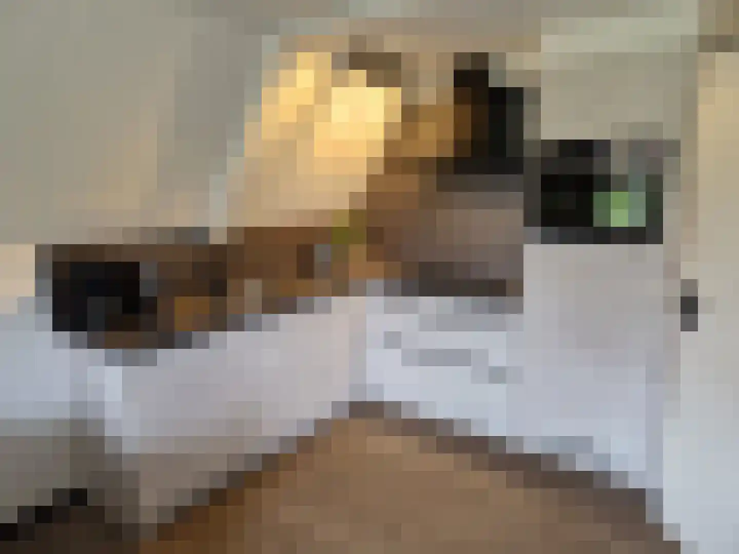 Boslaan 1 R117 Gramsbergen thumbnail 5