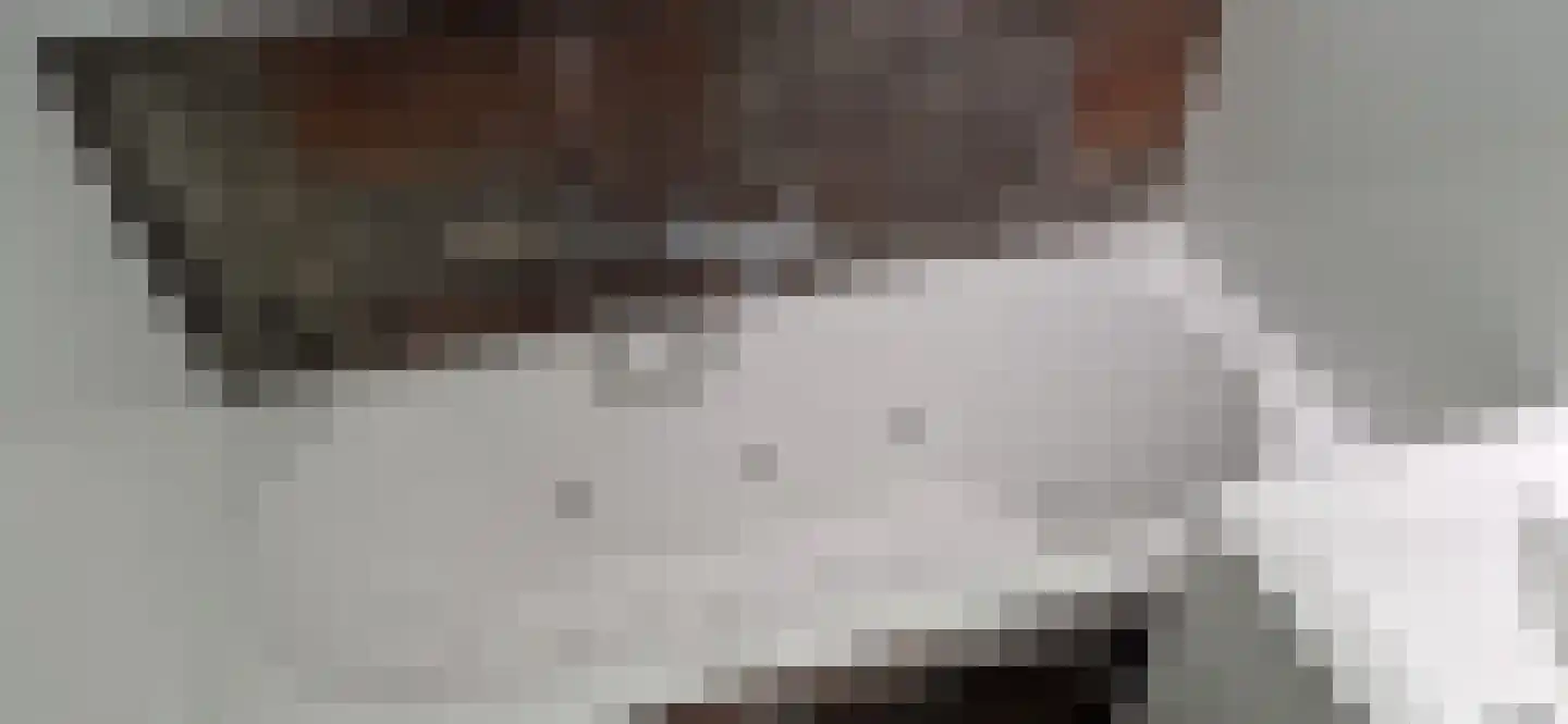 Boslaan 1 R117 Gramsbergen thumbnail 7