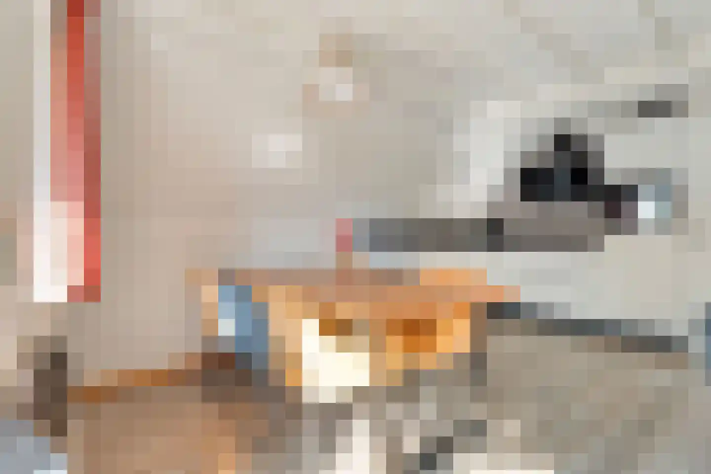 Boslaan 1 R128 Gramsbergen thumbnail 11