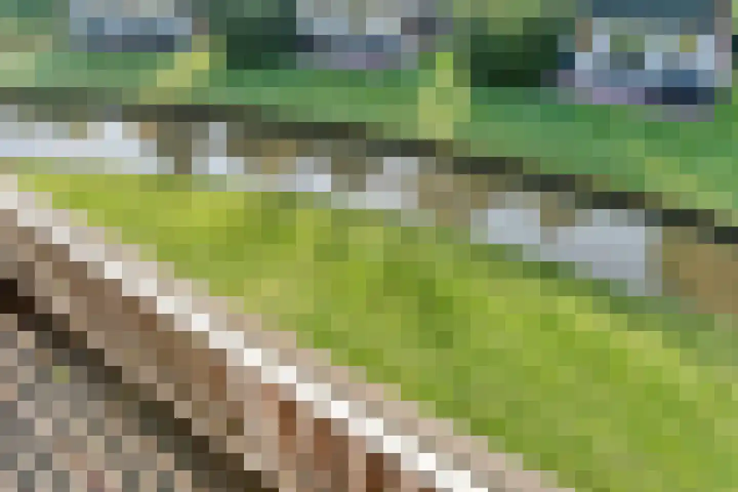 Boslaan 1 R128 Gramsbergen thumbnail 30