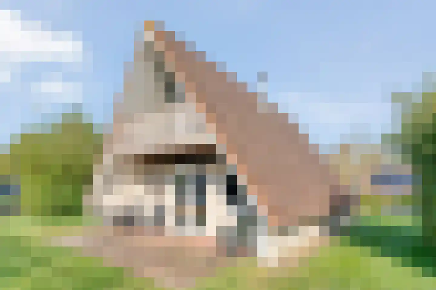 Boslaan 1 R128 Gramsbergen thumbnail 32