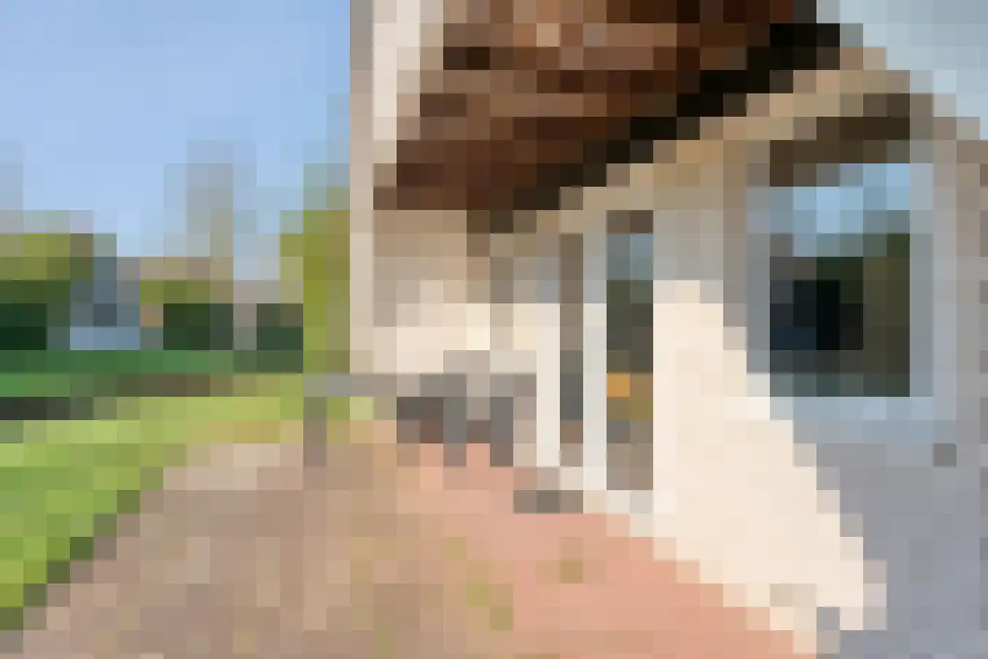 Boslaan 1 R128 Gramsbergen thumbnail 33
