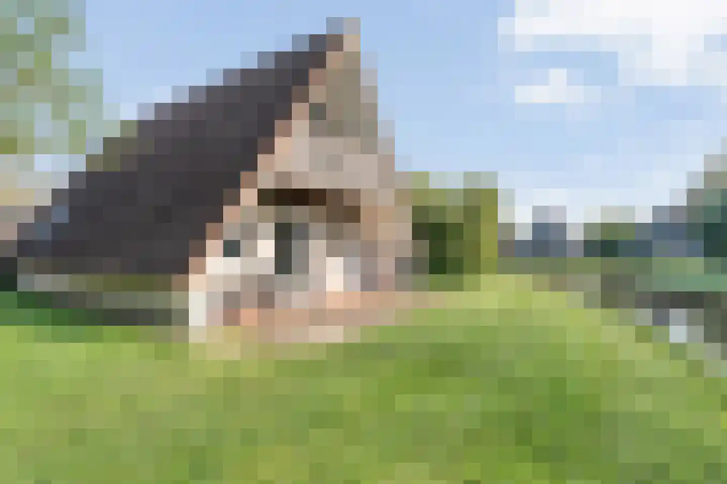 Boslaan 1 R128 Gramsbergen thumbnail 34