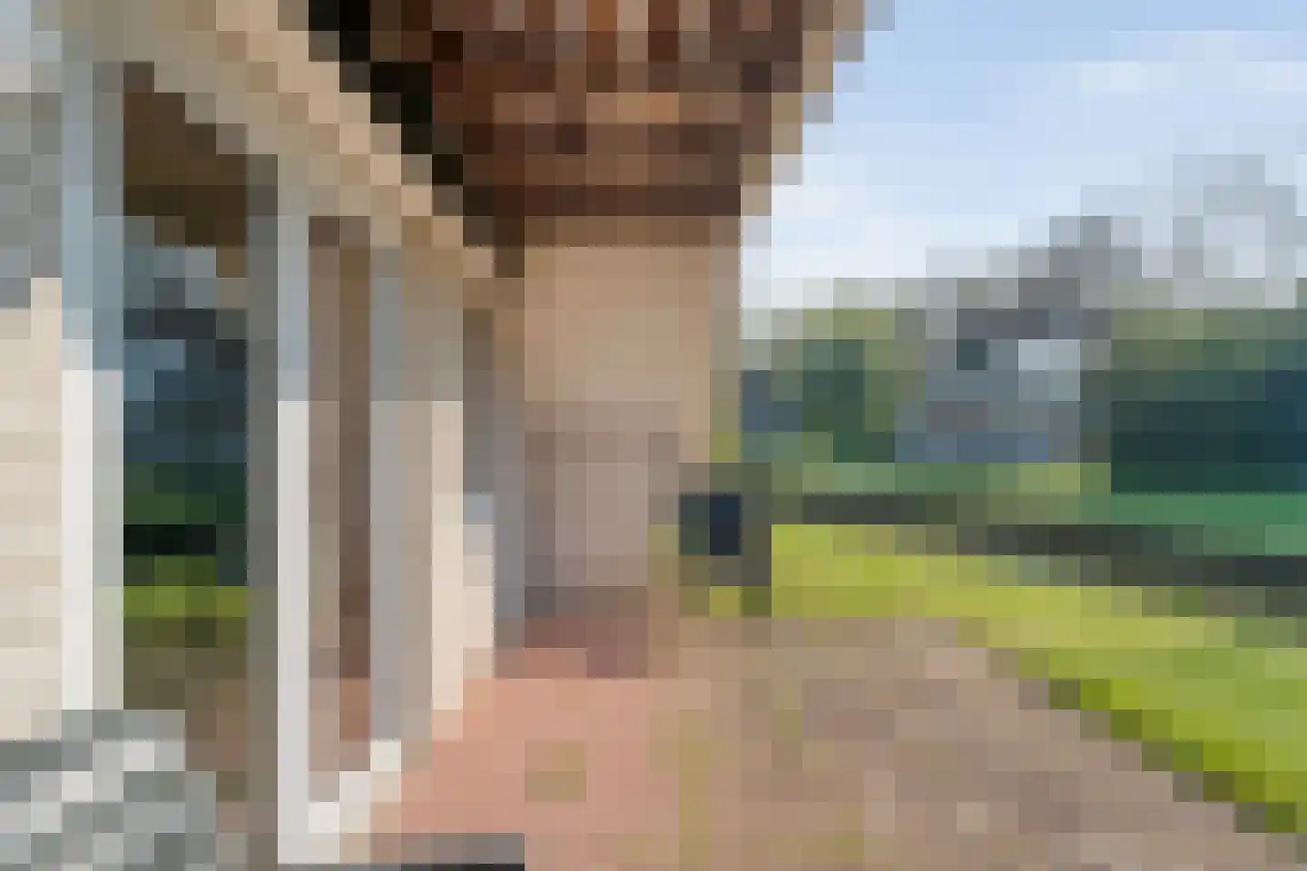 Boslaan 1 R128 Gramsbergen thumbnail 36