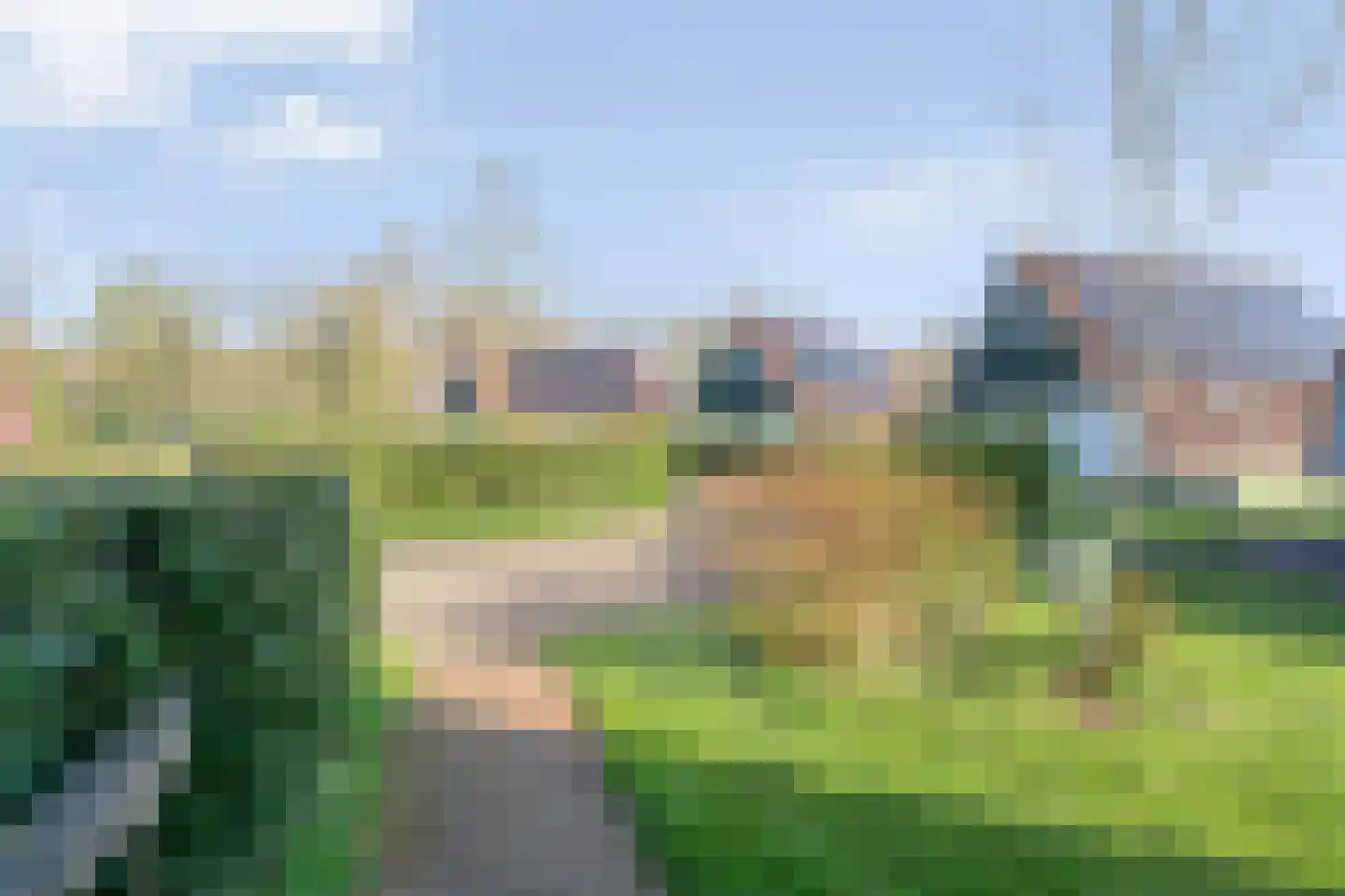Boslaan 1 R128 Gramsbergen thumbnail 6