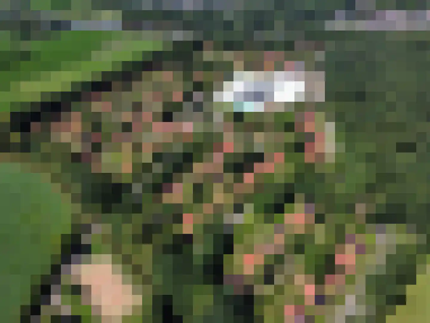 Boslaan 1 R132 Gramsbergen thumbnail 16