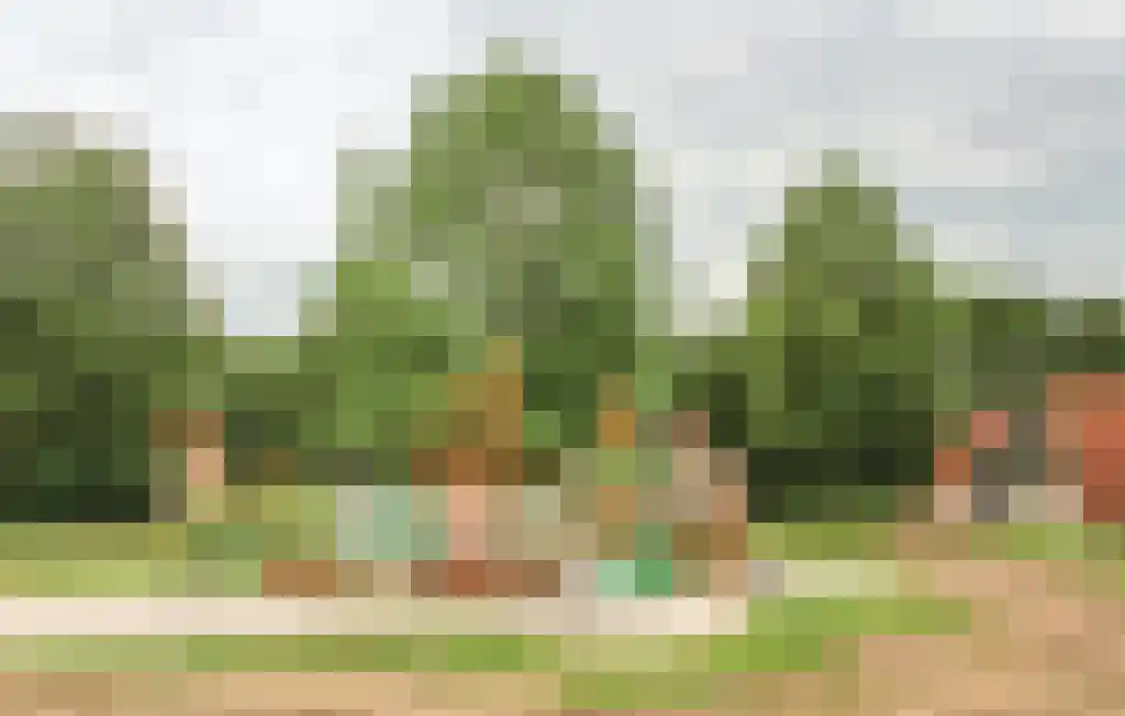 Boslaan 1 R132 Gramsbergen thumbnail 26