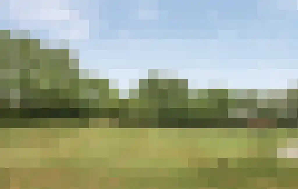Boslaan 1 R132 Gramsbergen thumbnail 27
