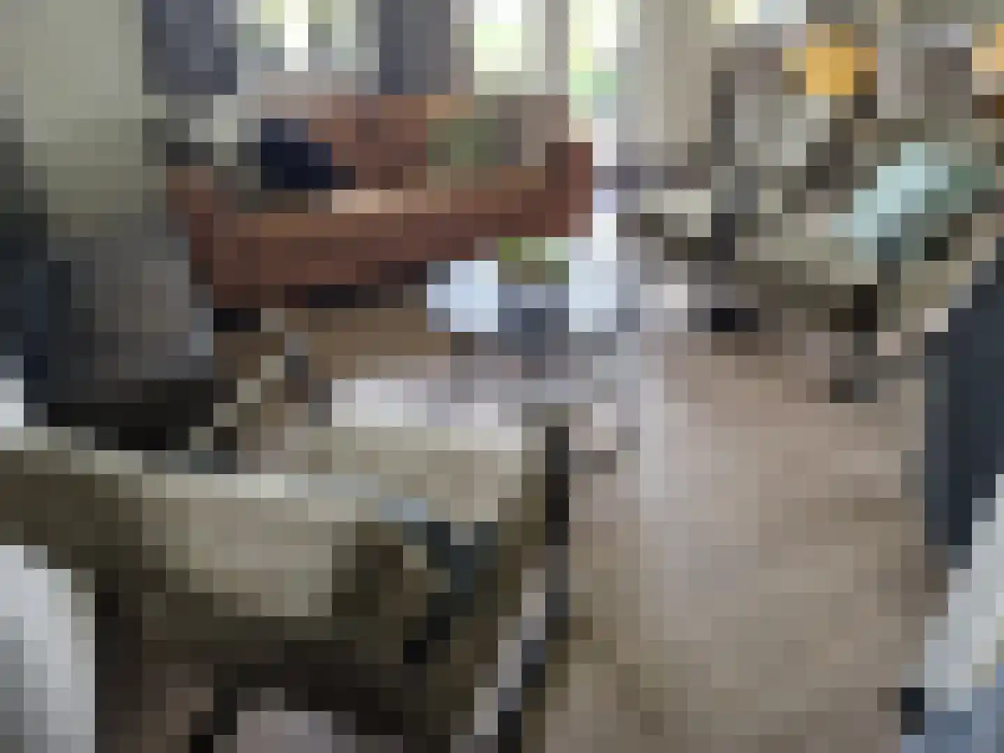 Boslaan 1 R132 Gramsbergen thumbnail 4