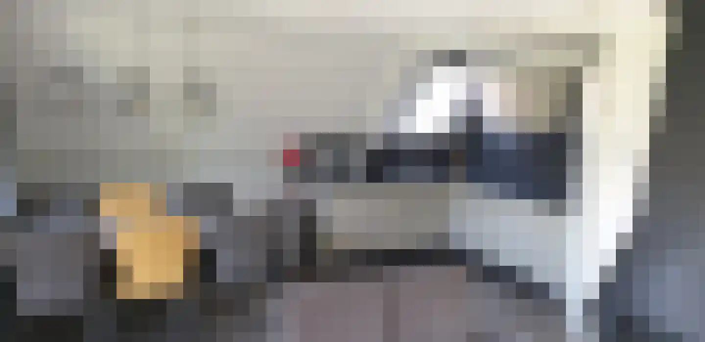 Boslaan 1 R132 Gramsbergen thumbnail 7