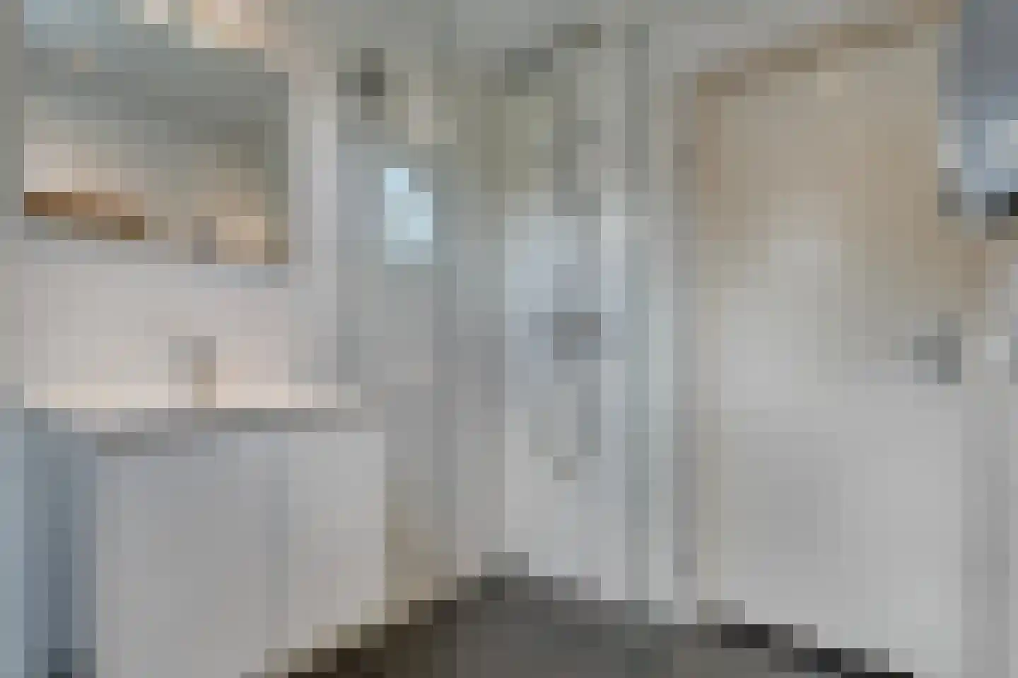 Boslaan 1 R149 Gramsbergen thumbnail 13
