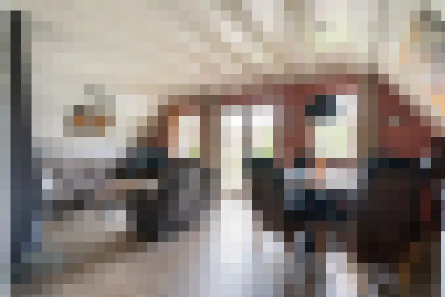 Boslaan 1 R149 Gramsbergen thumbnail 15