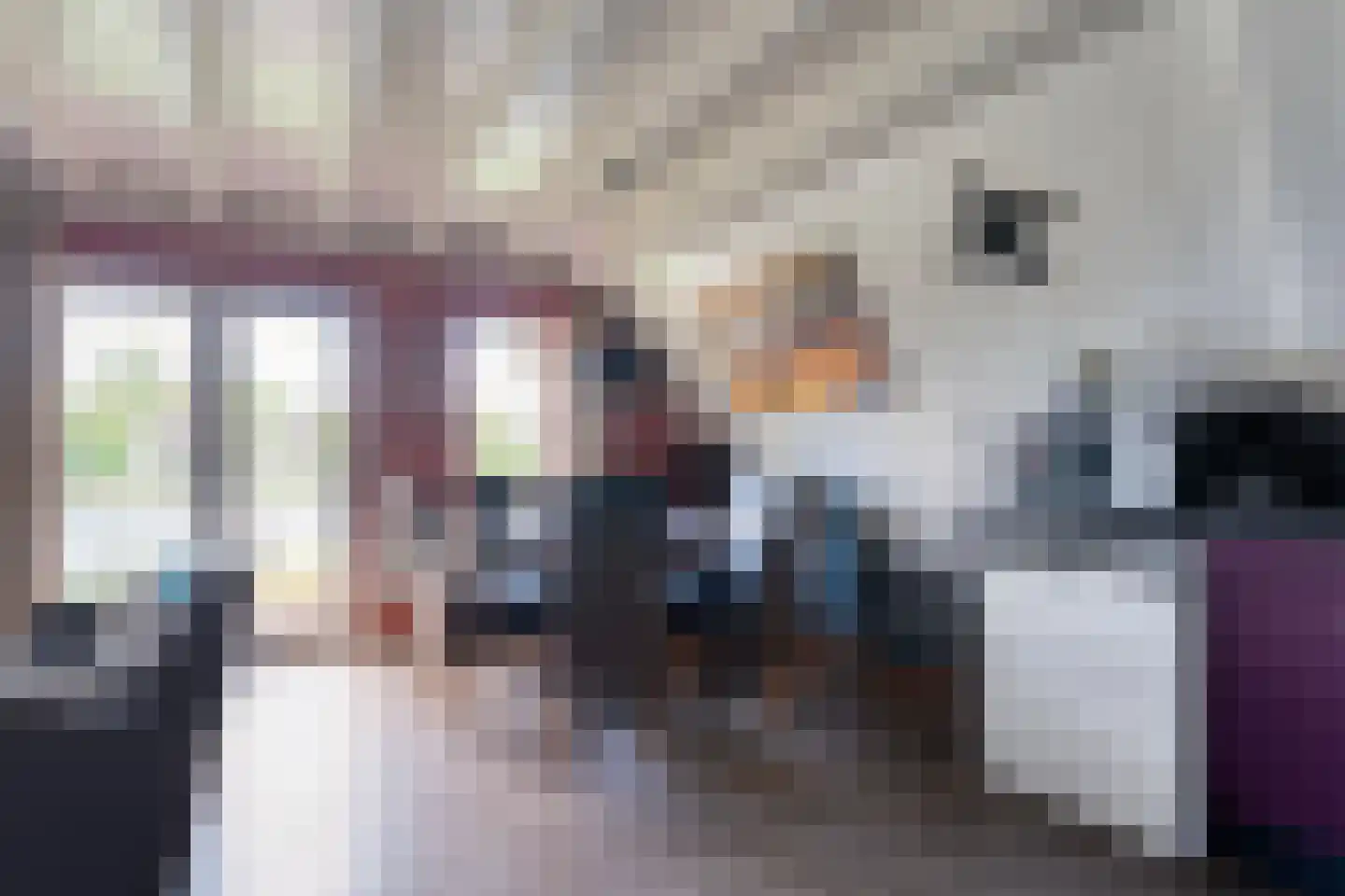 Boslaan 1 R149 Gramsbergen thumbnail 19