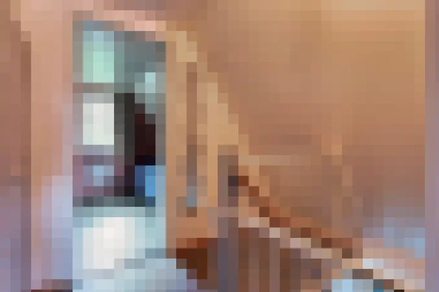 Boslaan 1 R149 Gramsbergen thumbnail 23