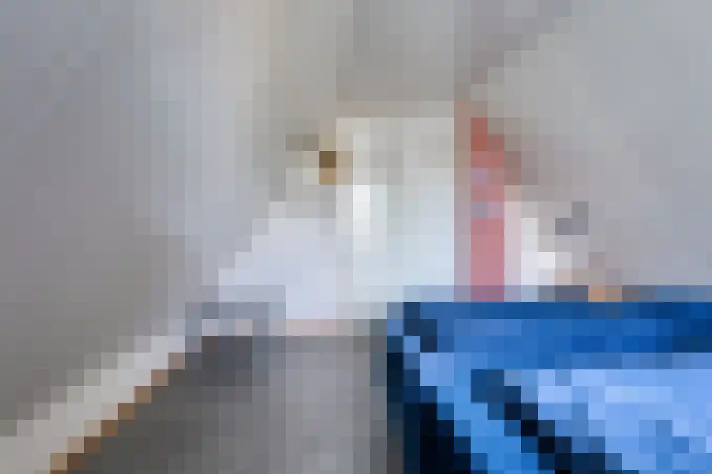 Boslaan 1 R149 Gramsbergen thumbnail 27