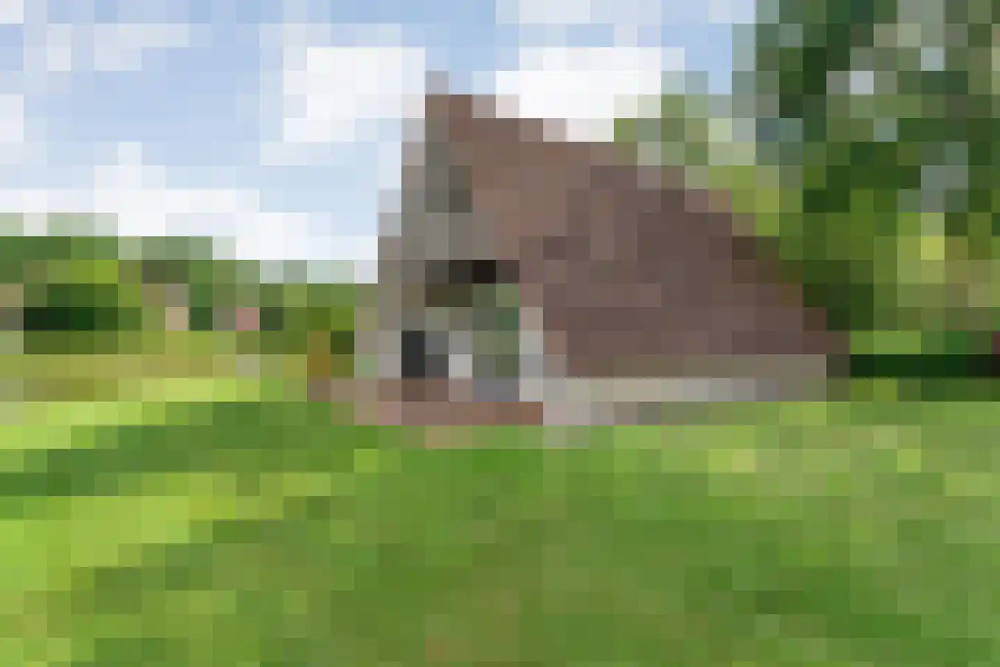 Boslaan 1 R149 Gramsbergen thumbnail 30