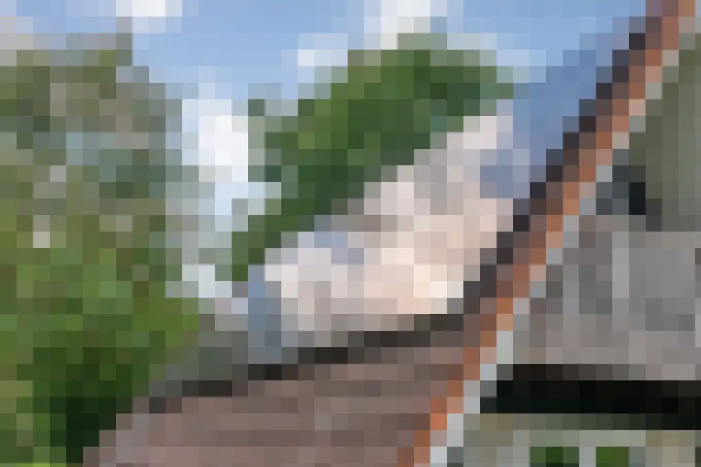 Boslaan 1 R149 Gramsbergen thumbnail 32