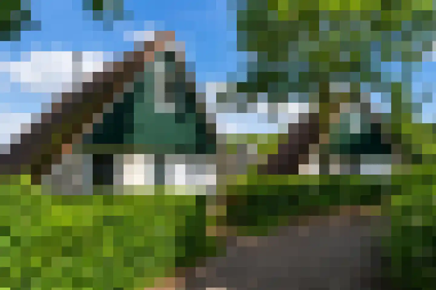 Boslaan 1 R149 Gramsbergen thumbnail 4