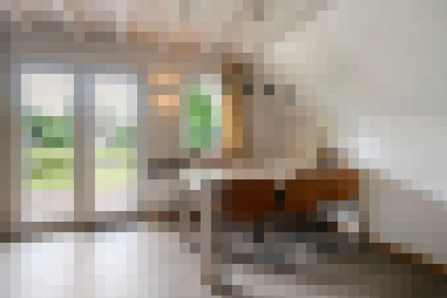 Boslaan 1 R151 Gramsbergen thumbnail 11
