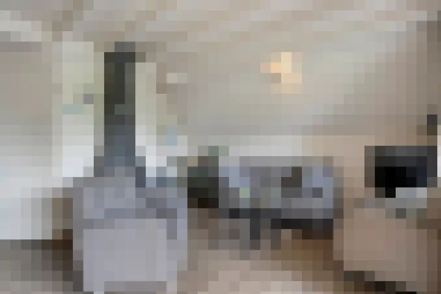 Boslaan 1 R151 Gramsbergen thumbnail 15