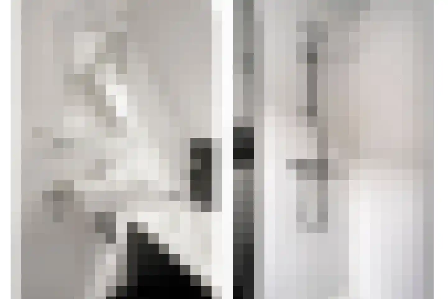 Boslaan 1 R151 Gramsbergen thumbnail 23