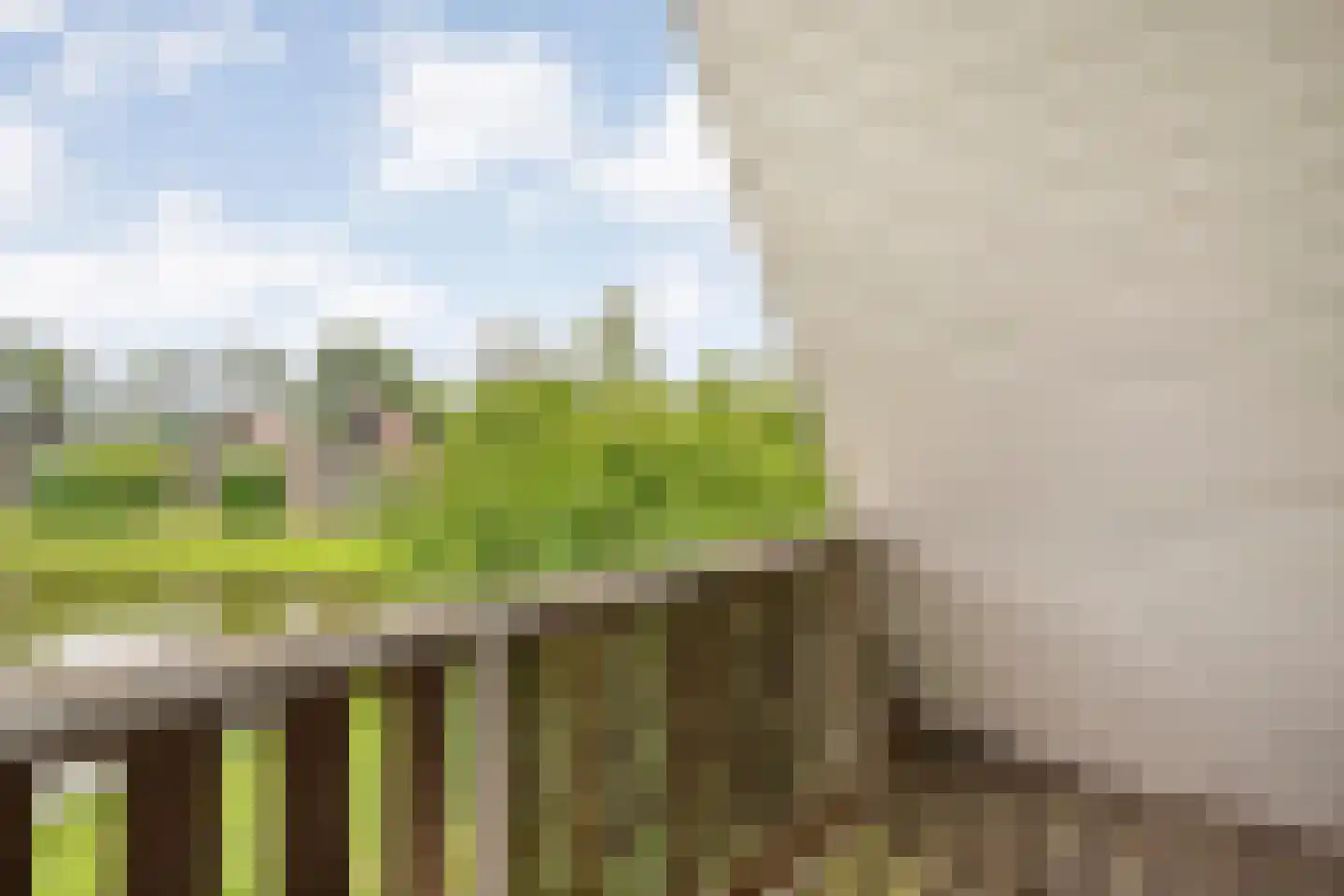 Boslaan 1 R151 Gramsbergen thumbnail 28